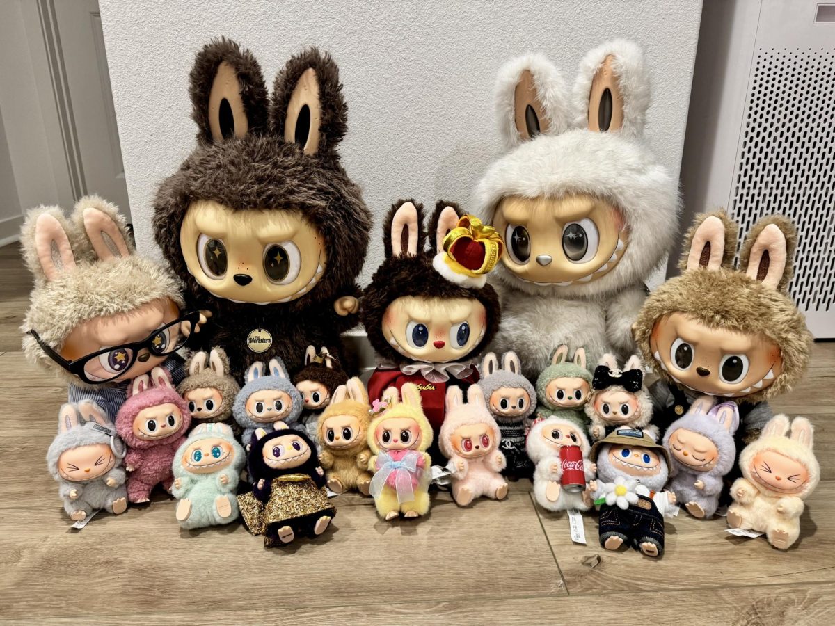 Kendall's collection of the viral Labubu. As well as some of the accessories that are for sale.