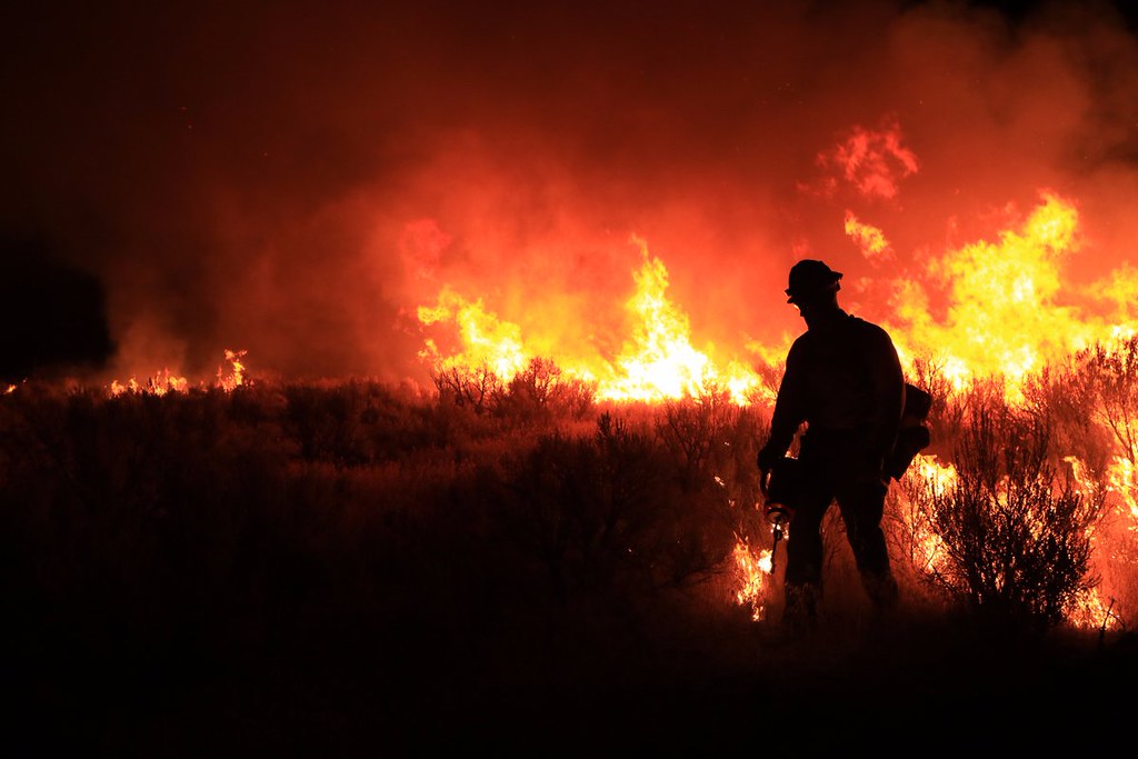 Idaho Wildland Firefighters by BLMIdaho
